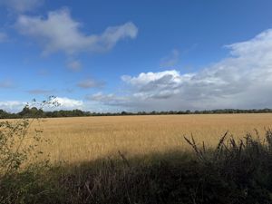 Photo 1- click for photo gallery